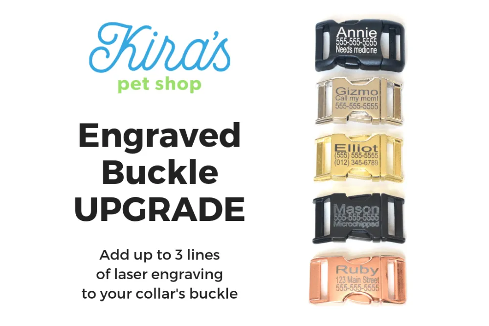 Craft Beer Dog Collar
