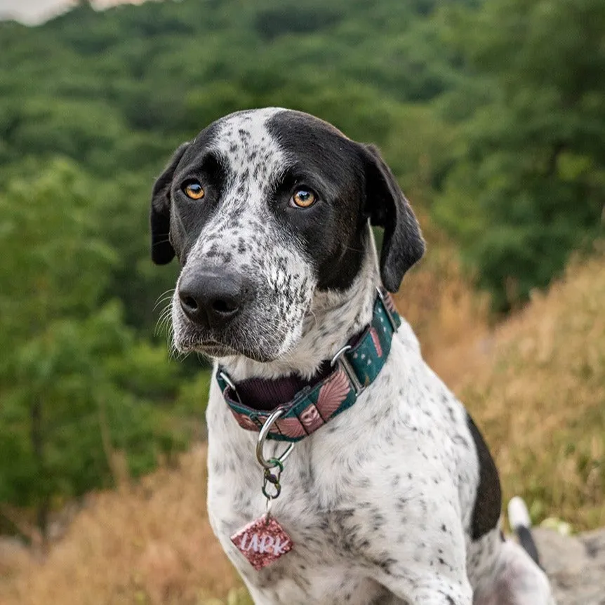 Emerald Owl Dog Collar