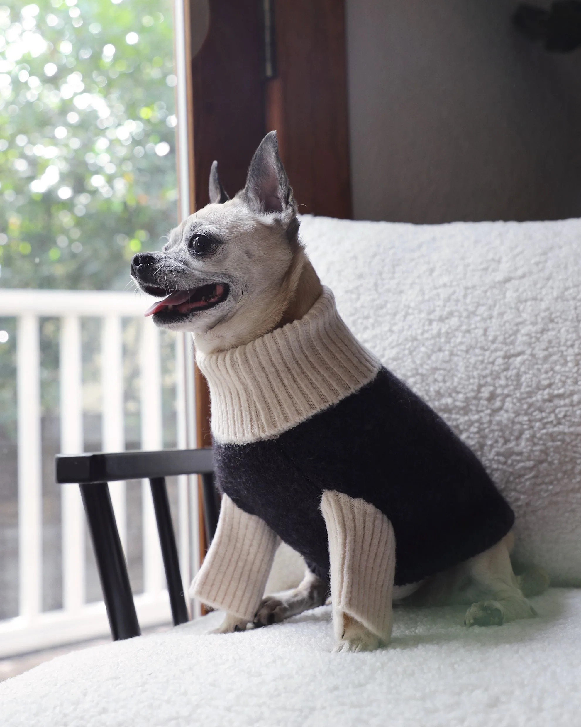 Felix Black   Ivory Dog Sweater