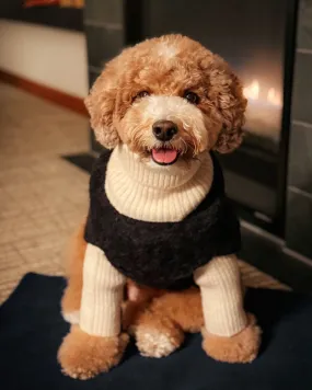 Felix Black   Ivory Dog Sweater