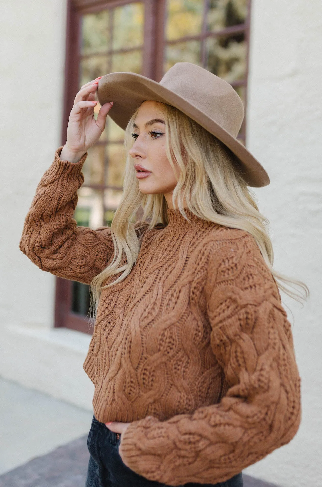 Jade Brown Knit Sweater