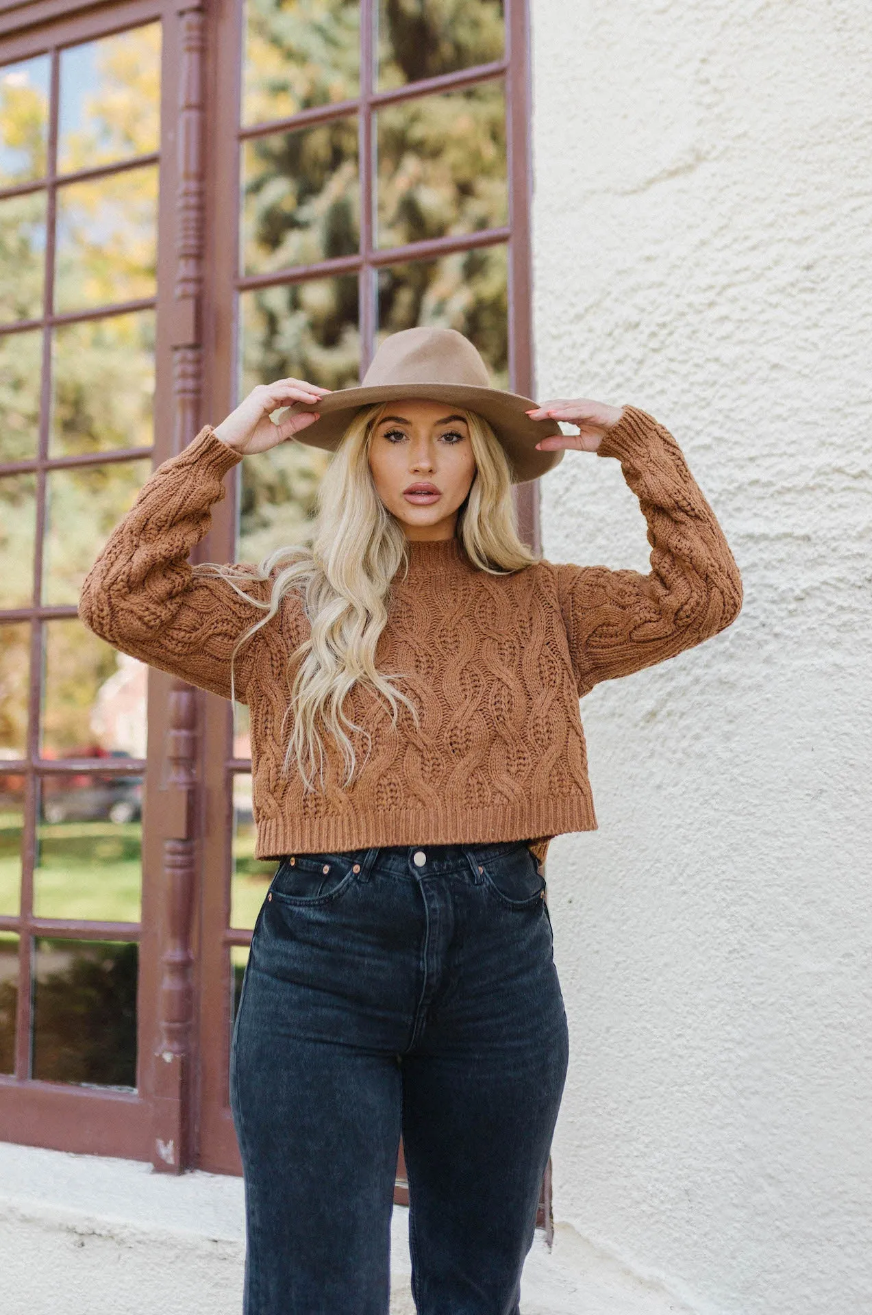 Jade Brown Knit Sweater