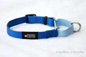 Pack of 10 Summer Skye Adjustable Martingale Dog Collar by Papillon Caniche