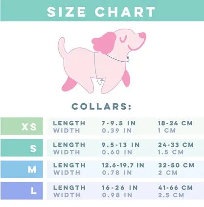 PAWSOME DOG COLLAR - #12