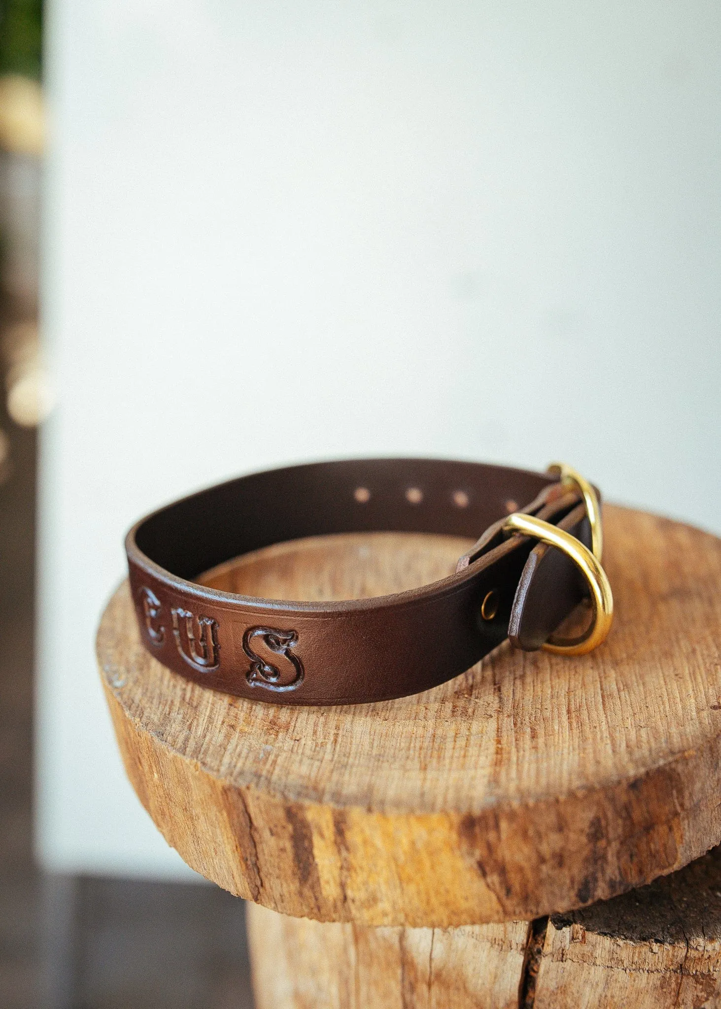 Personalised Dog Collar 32mm Wide - Dark Brown