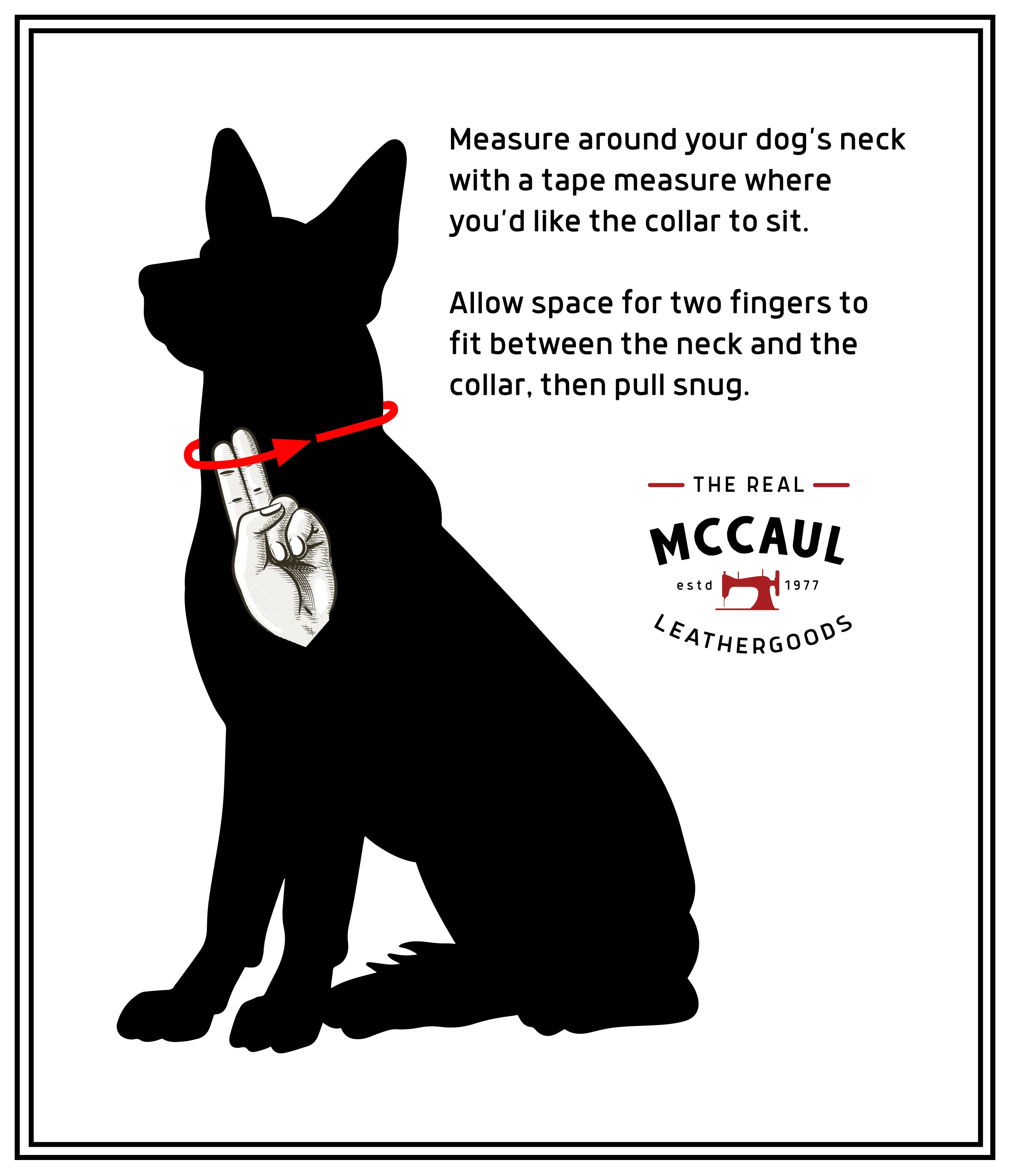 Personalised Dog Collar 32mm Wide - Dark Brown