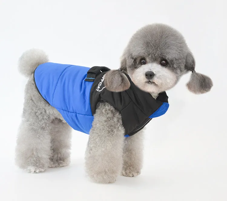 Pet Clothe Autumn and Winter New Pet Coat Cat Clothes
