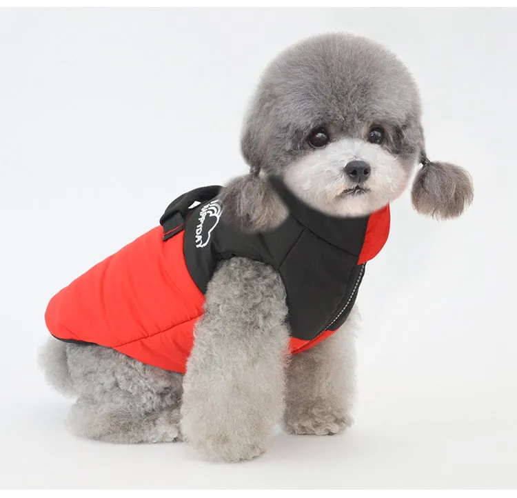 Pet Clothe Autumn and Winter New Pet Coat Cat Clothes