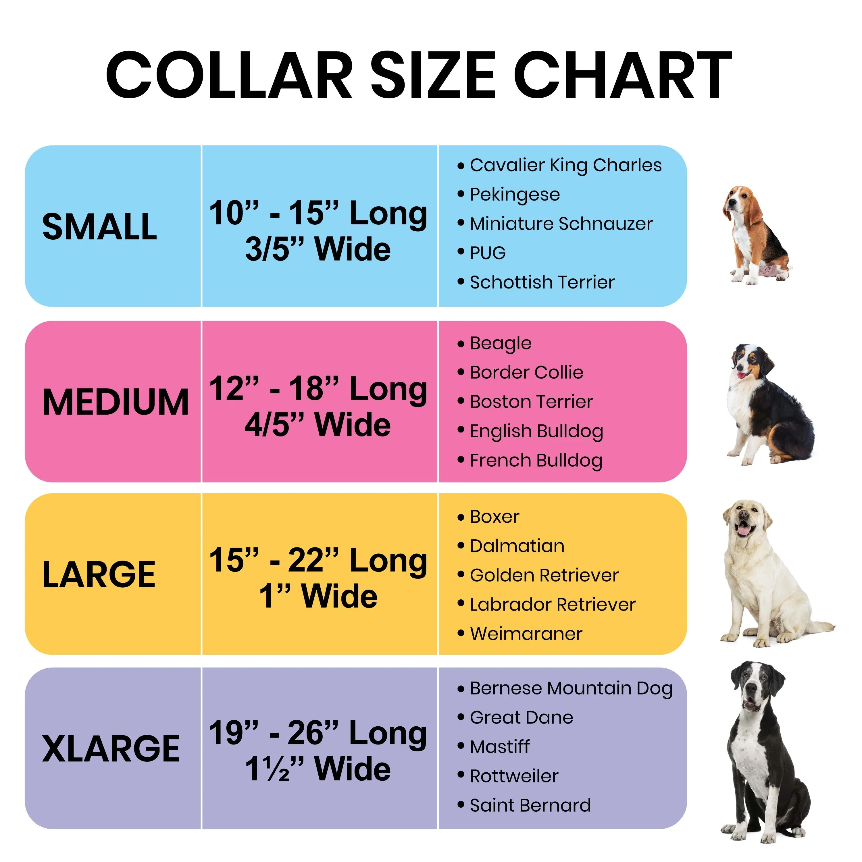 Yellow Spring Dog Collar- Quick Release Durable and Strong Dog Collar for Small, Medium and Large Dogs