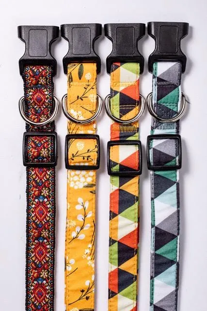Yellow Spring Dog Collar- Quick Release Durable and Strong Dog Collar for Small, Medium and Large Dogs